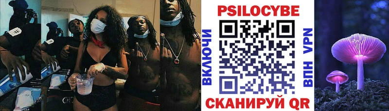 Галлюциногенные грибы Psilocybine cubensis  купить закладку  Малгобек 