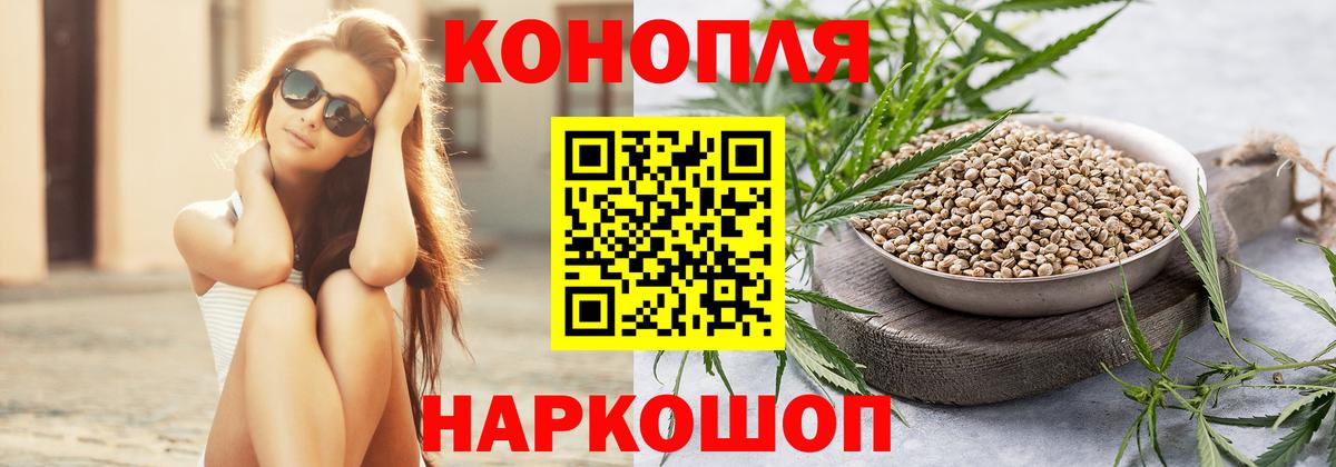 Каннабис индика Малгобек